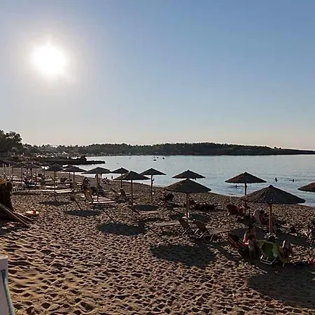 Irene Chania